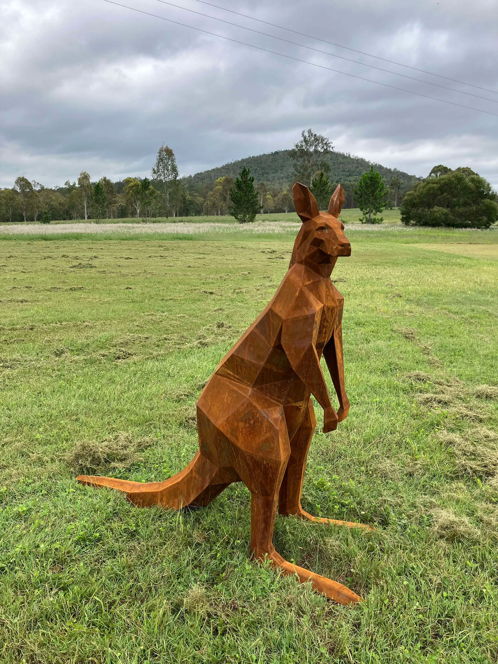 Skippy and Friends